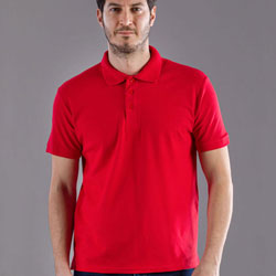 Polo BS Evolution